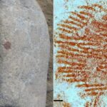 Ancient Mystery Unveiled: Neanderthal’s 43,000-Year-Old Fingerprint Discovered in Spain Challenges History