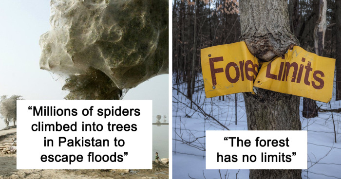 Discover 46 Mind-Blowing Nature Wonders That Will Change How You See the World Forever