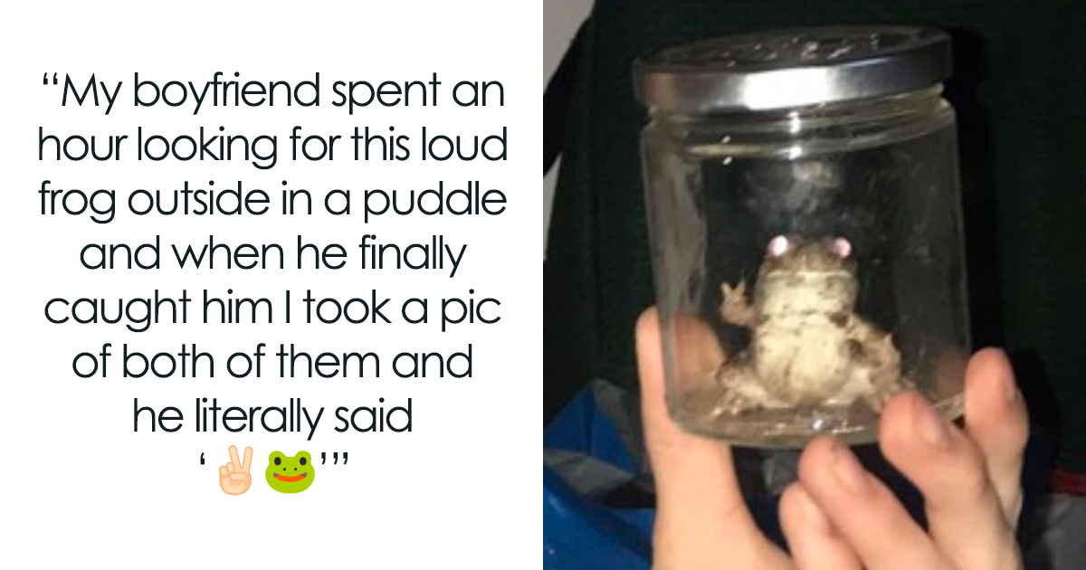 Discover the Unexpected Charm Behind Tumblr's Most Heartwarming and Hilarious Memes!