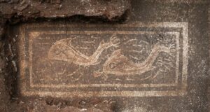 Hidden for Centuries: Astonishing Roman Dolphin Mosaic Discovered Beneath Austrian Soil Reveals Ancient Secrets