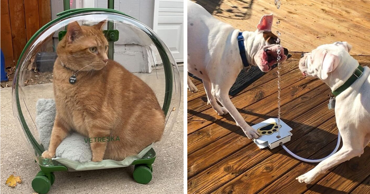 Unlock the Secret to a Luxury Summer Your Pet Will Beg For: 20 Must-Have Genius Products!