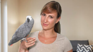 Why Are Millennials Choosing Parrots With Emergency Skills Over Partners?