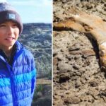 12-Year-Old’s Unexpected Discovery of a 69-Million-Year-Old Dinosaur Fossil Rocks Scientific World