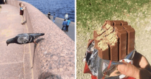 77 Disturbingly Bizarre Images That Defy Explanation and Will Haunt Your Mind