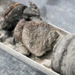 Hidden Beneath Denver Museum’s Parking Lot, Unearthed Dinosaur Bone Could Rewrite History