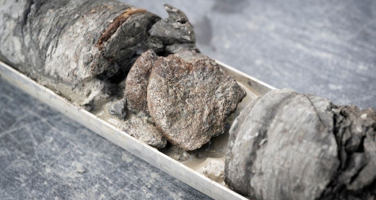 Hidden Beneath Denver Museum’s Parking Lot, Unearthed Dinosaur Bone Could Rewrite History