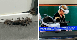 79 Shocking School Photos That Reveal the Untold Reality Behind Education Inequality