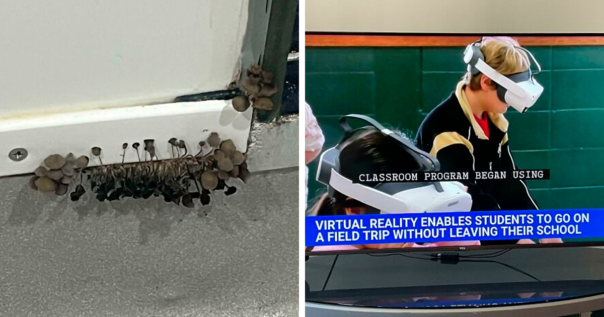 79 Shocking School Photos That Reveal the Untold Reality Behind Education Inequality