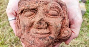 Mystery Unearthed: Viking-Era Stone Head Discovered by Archaeology Student in Scottish Isles