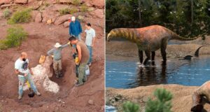 Scientists Uncover Mysterious 95-Million-Year-Old Plant-Eating Dinosaur That Could Rewrite Prehistoric History