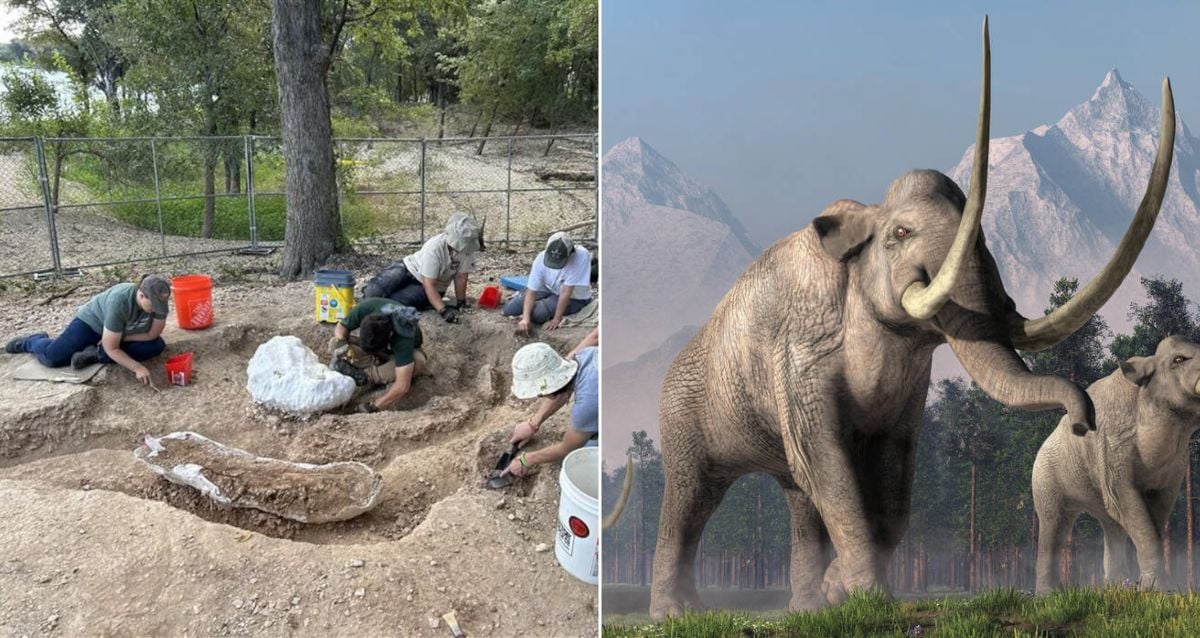 "Fisherwoman's Fortuitous Fall Unveils Ancient Mammoth Bones in Texas – What Lies Beneath?"