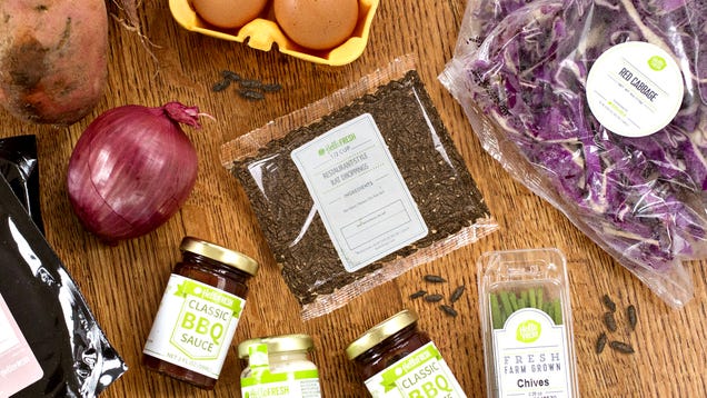 "HelloFresh Shocker: Meal Kit Mystery Reveals Unexpected 'Gourmet' Ingredient!"