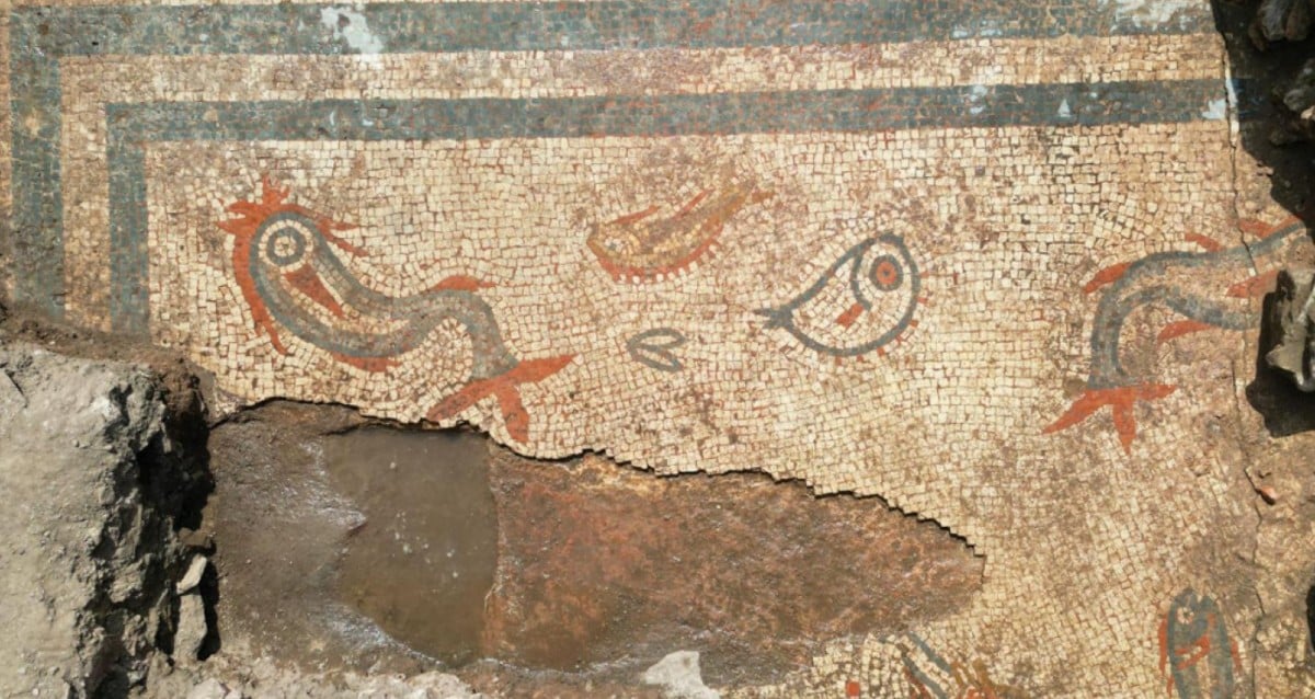 "Hidden Treasures Unearthed: Stunning Roman Mosaic of Fish and Dolphins Discovered at Ancient Viroconium Ruins!"