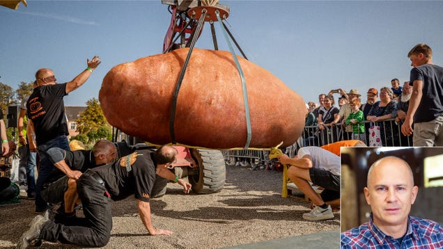 "Shock at the Iowa State Fair: 500-Pound Yam Goes Rogue, Gores Bystander!"