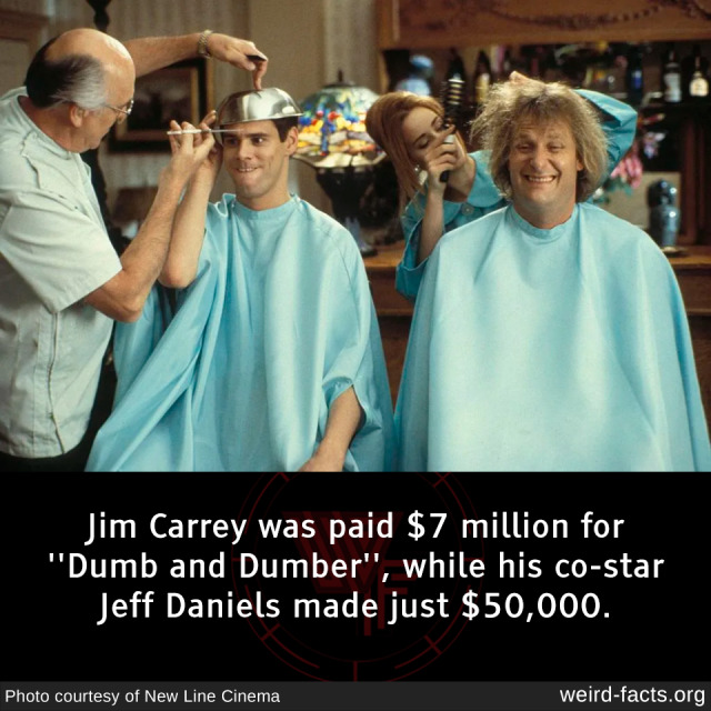 "Shocking Salary Disparity: Discover How Much Jeff Daniels Really Made Next to Jim Carrey's $7 Million for 'Dumb and Dumber'!"