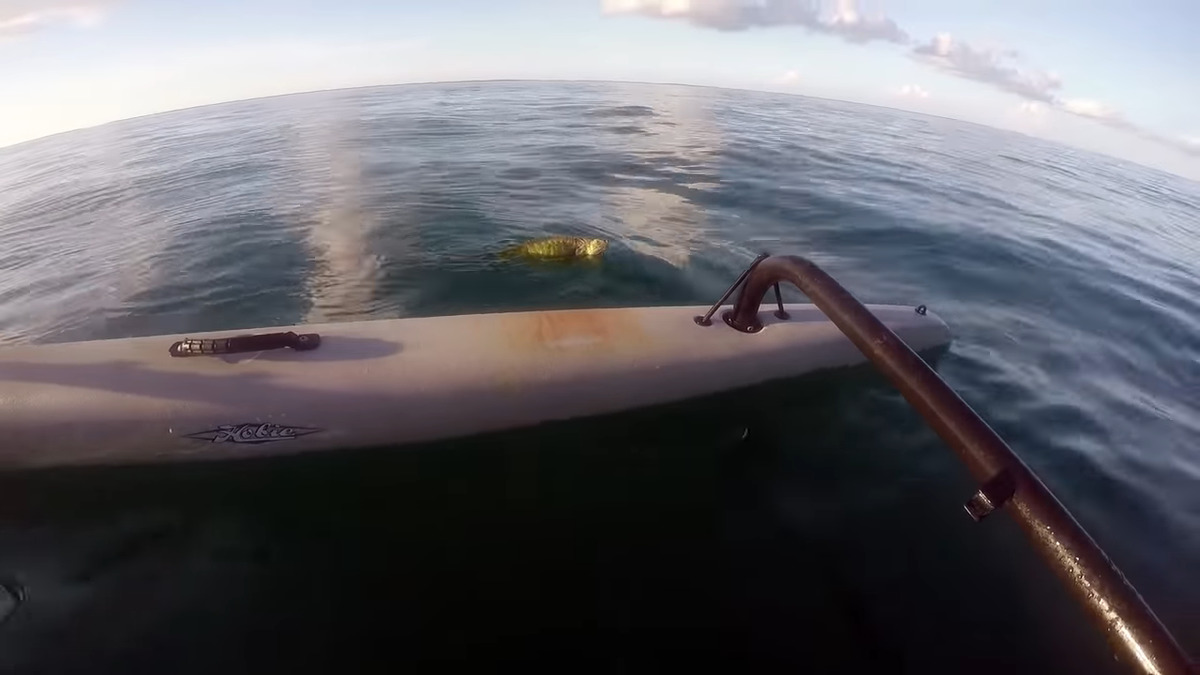 "Stranded at Sea: The Shocking Discovery That Left a Kayaker Gasping in Awe!"