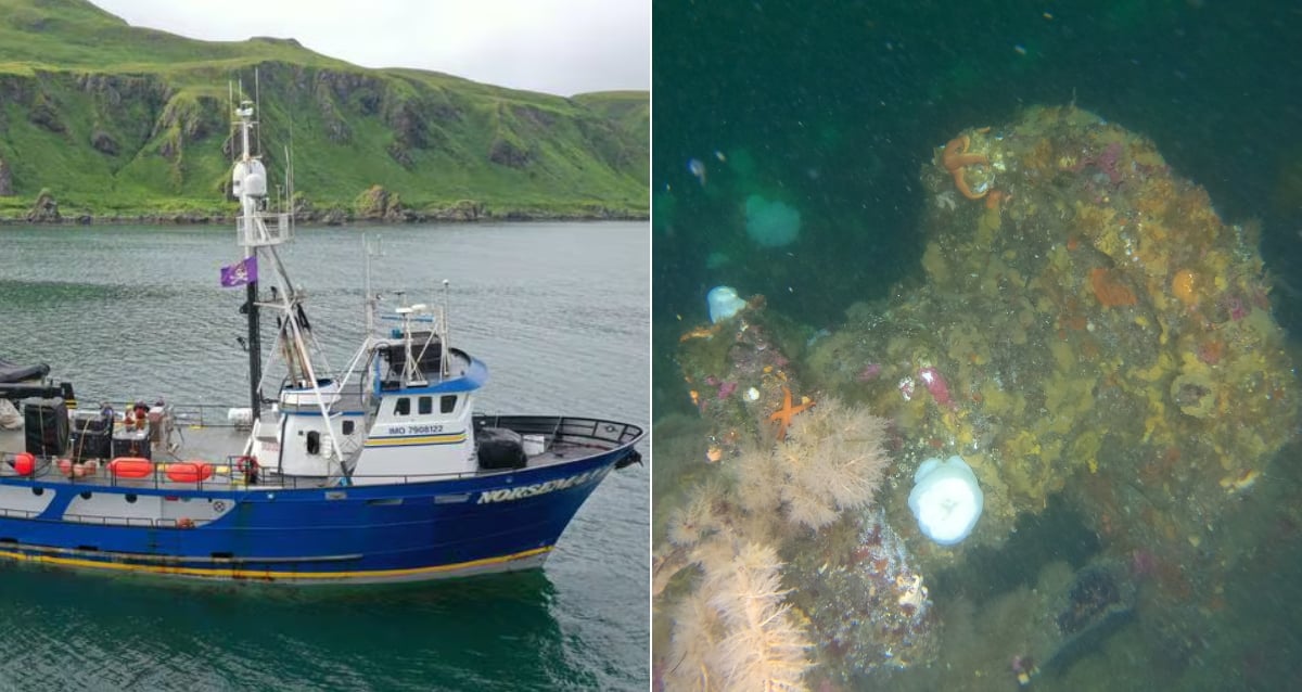 "Sunken Secrets: WWII Shipwrecks Unearthed in Alaska’s Aleutian Islands Reveal Hidden History of the Battle of Attu"