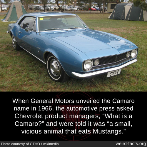 "Unveiling the Camaro: The Surprising Secret Behind GM's Legendary Name Choice!"