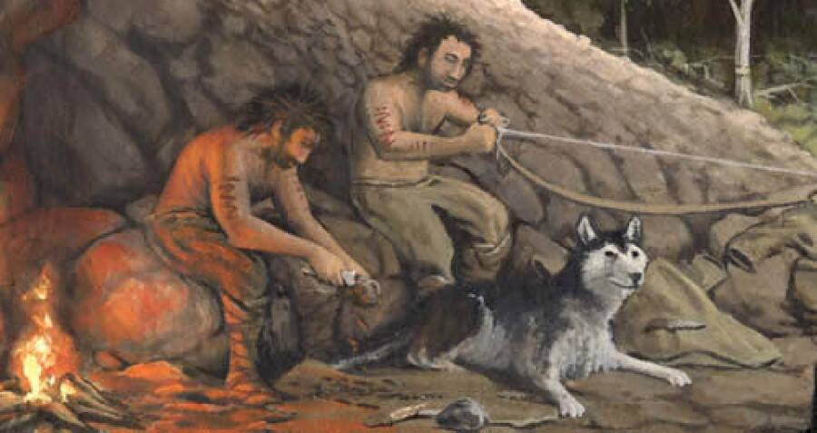 Ancient Bond: The Surprising Discovery of a Man and His Dog Preserved for 8,400 Years Reveals Secrets of a Forgotten Era