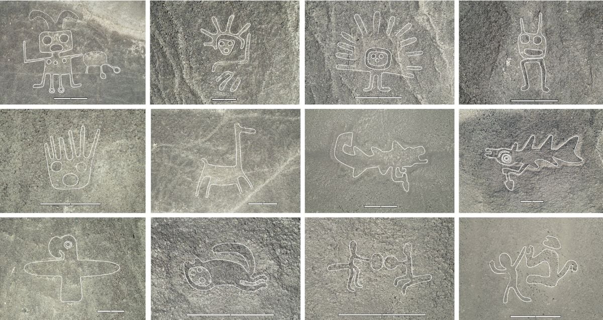 "Ancient Mysteries Resurface: A.I. Uncovers 303 New Nazca Lines—What Do They Reveal About Peru's Past?"