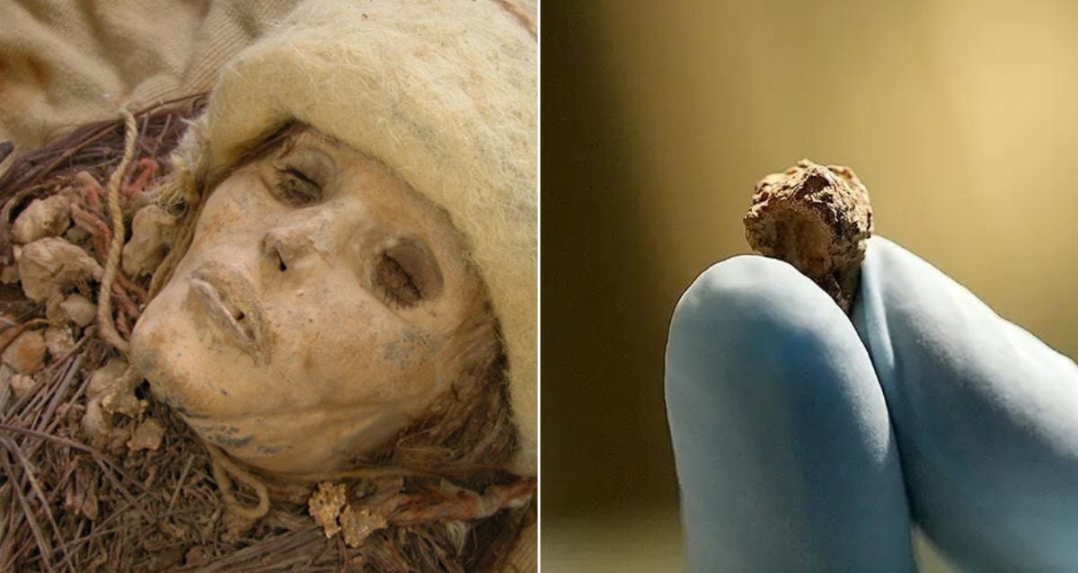 "Ancient Mystery Unveiled: Discover the Surprising Connection Between a 3,600-Year-Old Mummy and the World’s Oldest Cheese!"