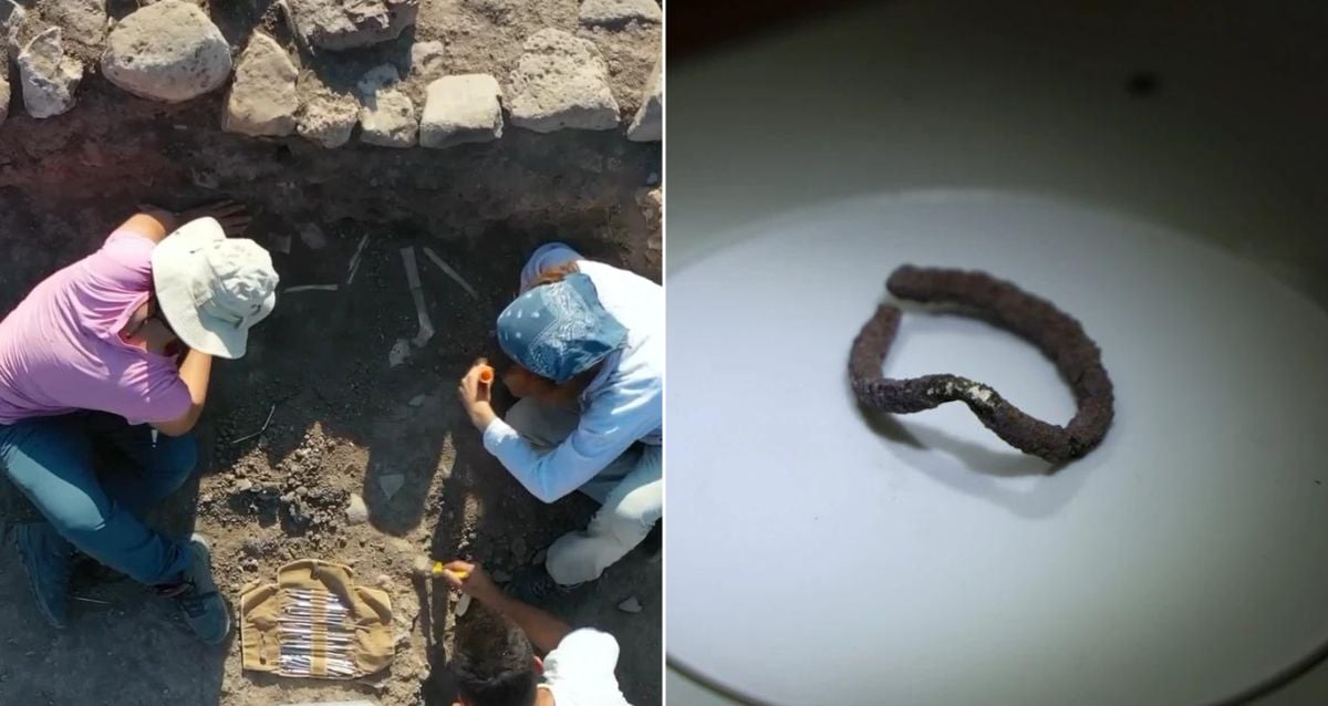 "Ancient Secrets Unearthed: Silver Rings and the Mysterious Remains of Three Children From 7,600 Years Ago in Türkiye"