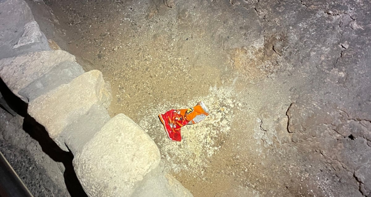 "Beneath the Surface: How a Simple Cheetos Bag Sparked an Ecological Crisis in Carlsbad Caverns"