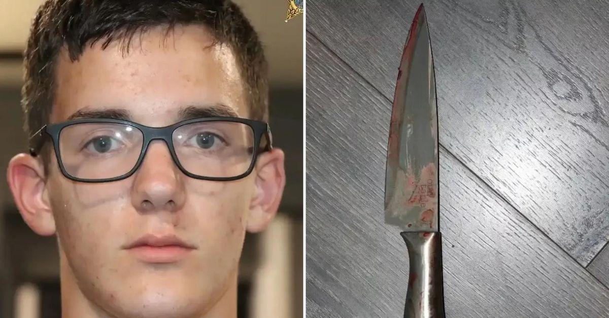 "Chilling Confession: Florida Teen Claims Mother's Fatal Stabbing Was an Accident—But Could It Be a Devious Cover-Up?"