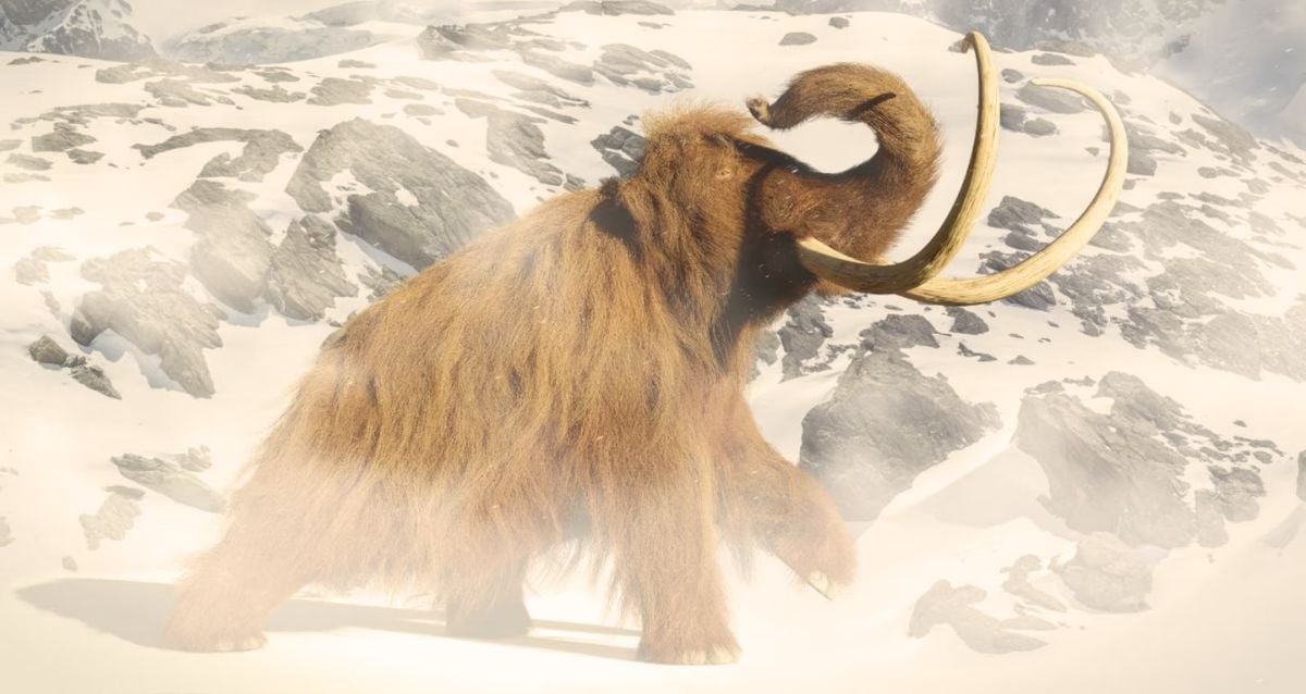 "Could Pollen Allergies Be the Unlikely Culprit Behind the Woolly Mammoth's Extinction?"