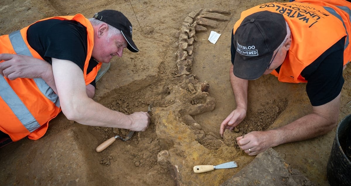 "Unearthed Horror: Archaeologists Discover Gruesome 'Gore Pit' of Waterloo, Revealing Secrets of Battle's Brutality!"