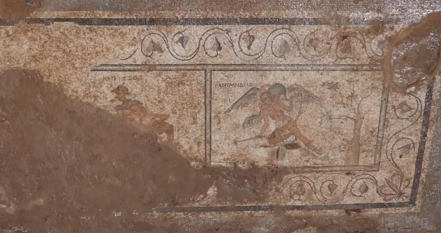 "Unearthed Laughter: Ancient Turkish Mosaics Reveal Hilarious Secrets of Roman Bathrooms!"