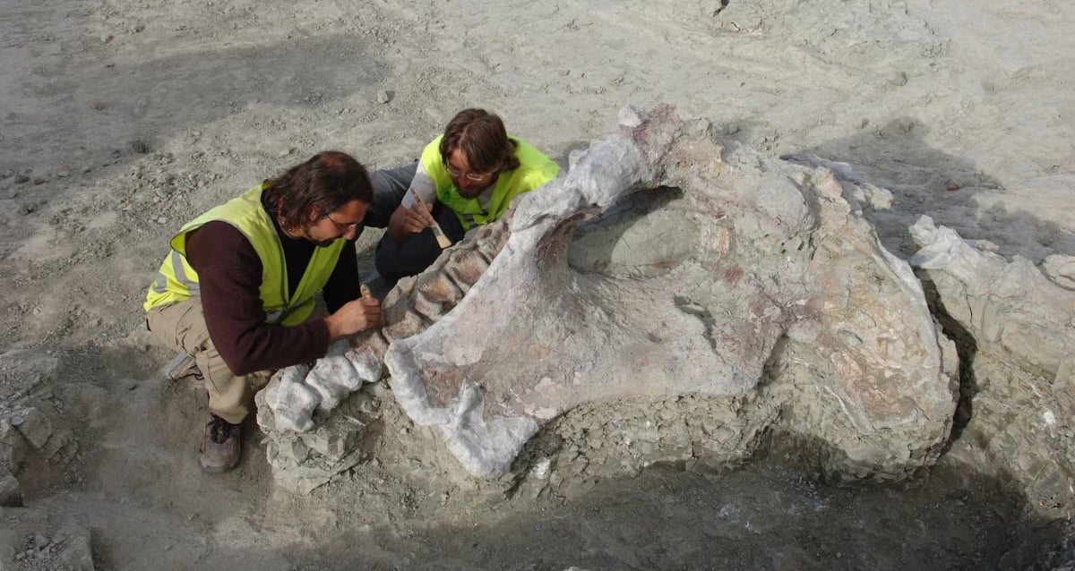 "Unearthed: The Astonishing Discovery of Europe’s Last Colossal Dinosaur!"