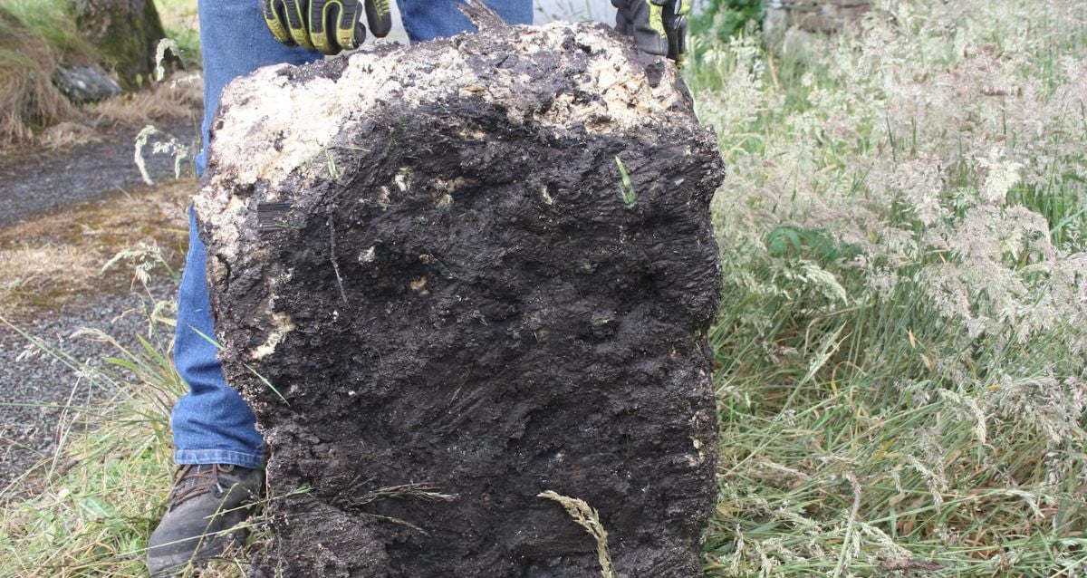 "Unearthed Treasure: Irish Farmer Stumbles Upon Ancient 50-Pound Bog Butter That Could Rewrite History"