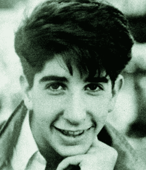 "Unlocking the Secrets: 20 Surprising Facts That Reveal the Real David Schwimmer Behind Ross Geller"