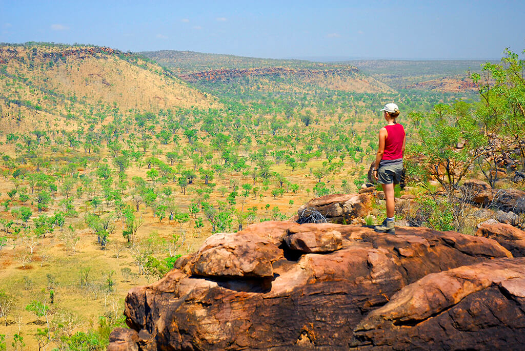 "Unveiling Australia’s Wildlife: 10 Terrifying Encounters That Turn Adventure into Survival!"