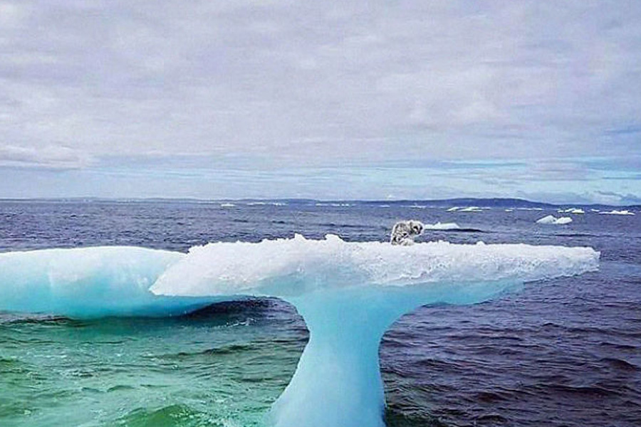 "Unveiling the Ice: What Fishermen Discovered on an Iceberg Will Leave You Speechless!"