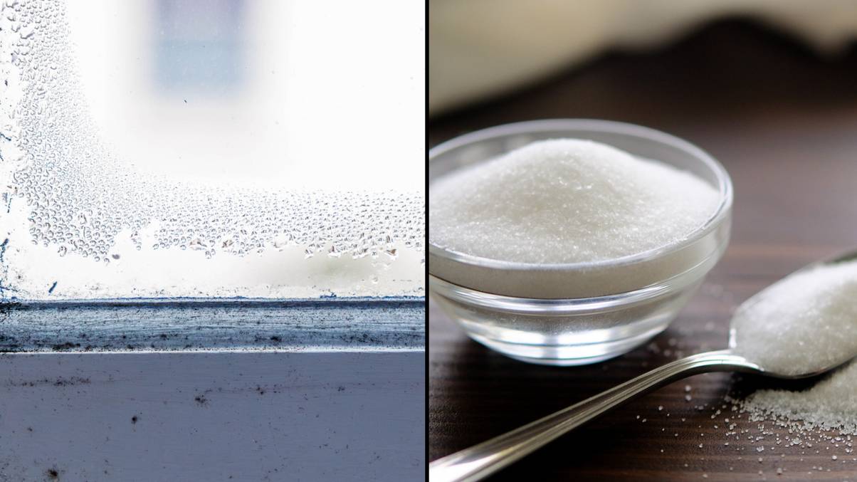 "Discover the Surprising Secret Behind Why Brits Are Filling Their Windowsills with Salt This Month!"