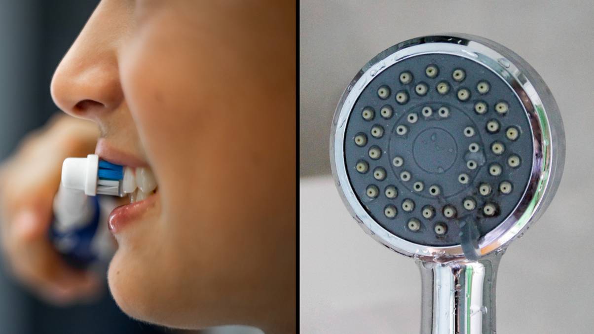 "Hidden Dangers: What Your Toothbrush and Shower Head Are Revealing About Unseen Viruses"