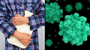 "Unmasking the Surge: What You Need to Know About the Alarming Rise of Norovirus in the UK"