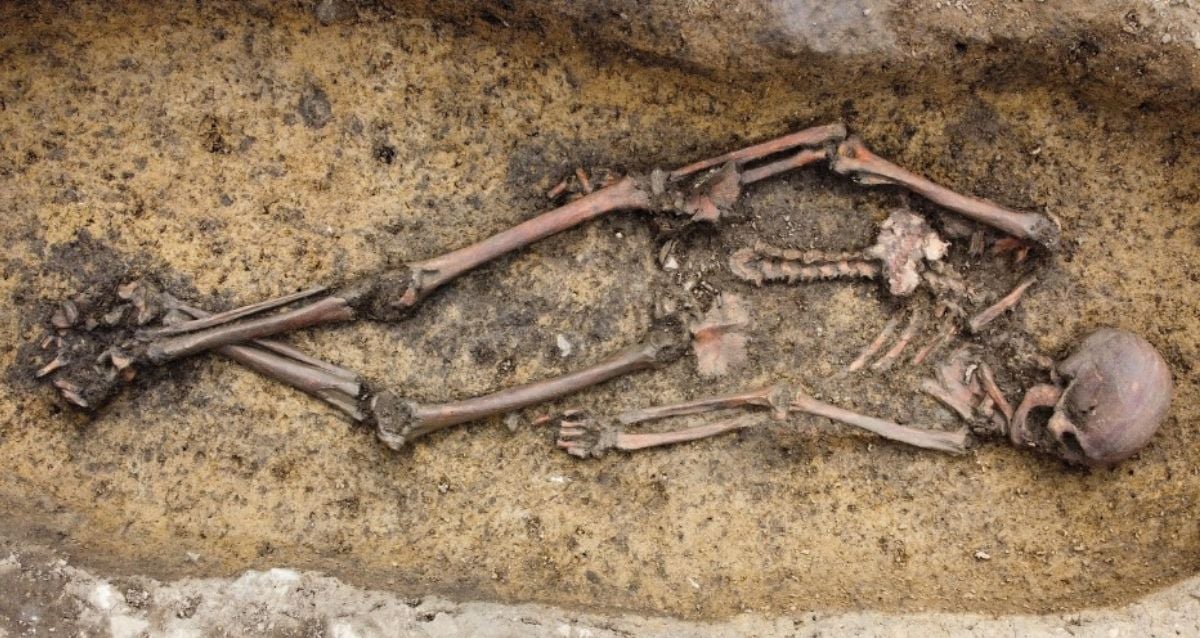 "Unveiling the Past: Astonishing Discovery of 50 Immaculately Preserved Viking Skeletons Sparks Fresh Questions About Norse Life and Death!"