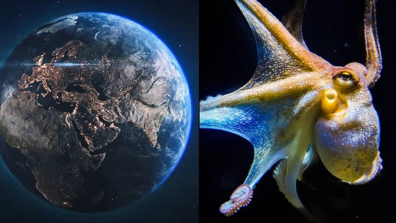 "Could Octopuses Evolve to Dominate Earth? A Scientist's Shocking Prediction on Life After Humanity"