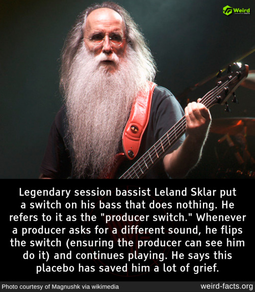 "Inside the Mystery: Why Leland Sklar Installed a Useless Switch on His Bass"