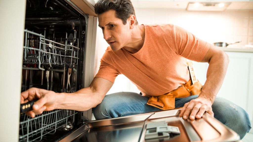 "Is Your Dishwasher Hiding a Health Hazard? Discover the 11 Shocking Ways It Could Make You Sick!"