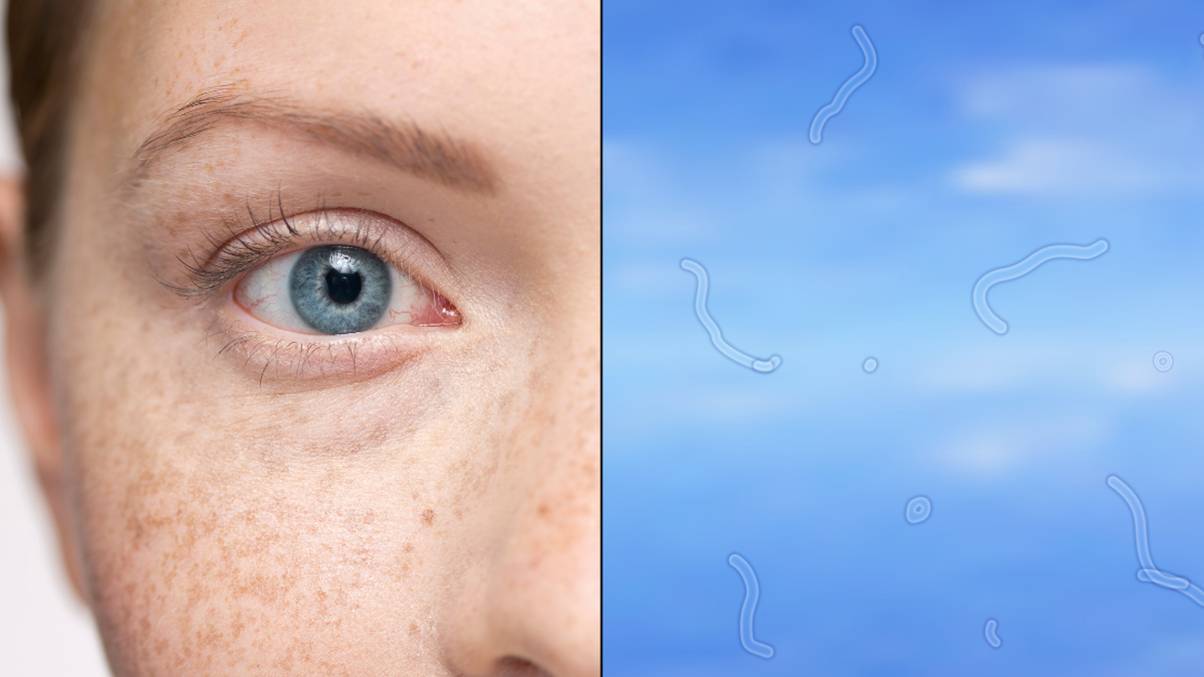 "See Mysterious Floaters? Discover What They Reveal About Your Eye Health and What to Do Next!"