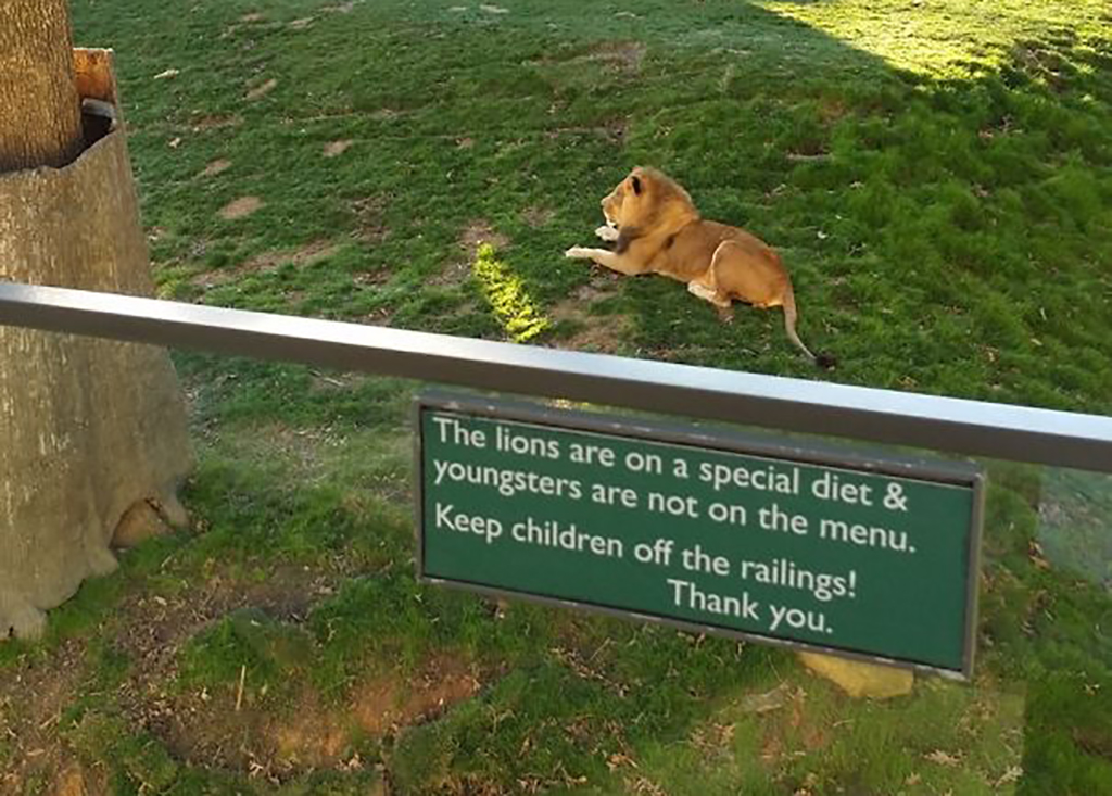 "Unbelievable Zoo Signs That Will Have You Laughing Out Loud – You Won't Believe What These Animals Are 'Saying'!"