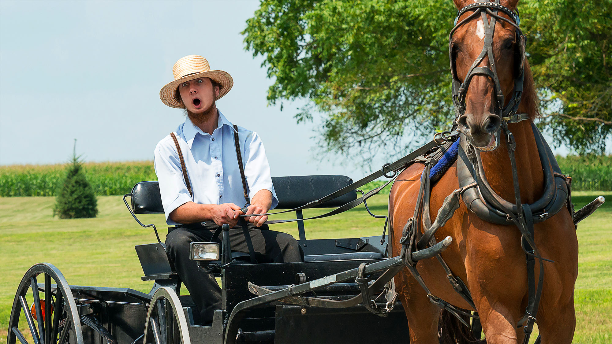 "Lost in Tradition: The Shocking Tale of the Amish Farmer and His Unforgettable Mistake"