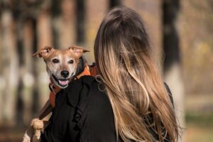 "Uncover the Hilarious Science Behind the Most Bizarre Pet Names That Will Leave You Chuckling!"