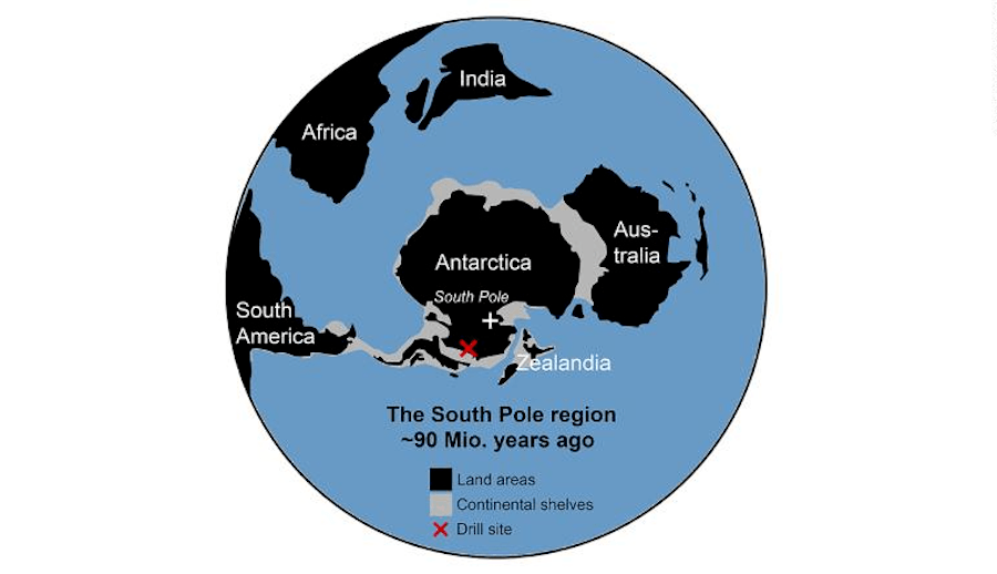 "Unearthed Secrets: What a 90-Million-Year-Old Antarctic Rainforest Reveals About Earth’s Lost Climate"