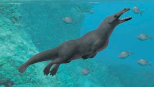 "Ancient Four-Legged Whale Unveiled: What Secrets Does This 40-Million-Year-Old Creature Hold?"