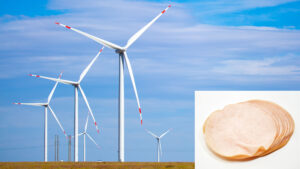 "Revolutionary Wind Turbines: The Surprising New Role That Has Americans Buzzing!"